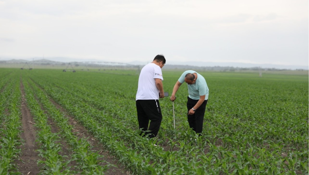 屏幕截图 2021-07-23 154718.jpg