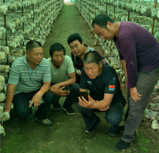 微信截图_20210730171622.png