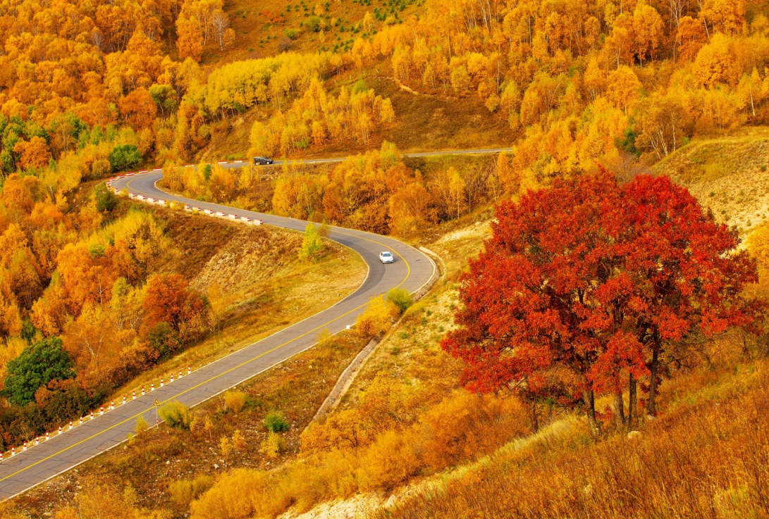 屏幕截图 2021-10-22 155857.png