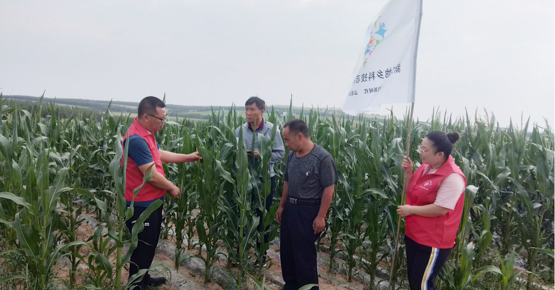屏幕截图 2022-08-26 154956.png