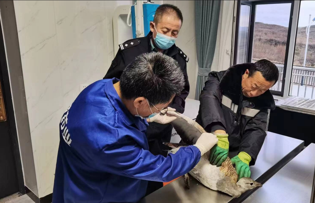 屏幕截图 2022-11-10 203004.png