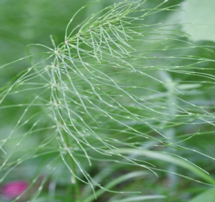 屏幕截图 2023-07-14 145206.png